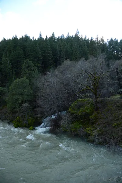 DSC_0942 (Large).JPG